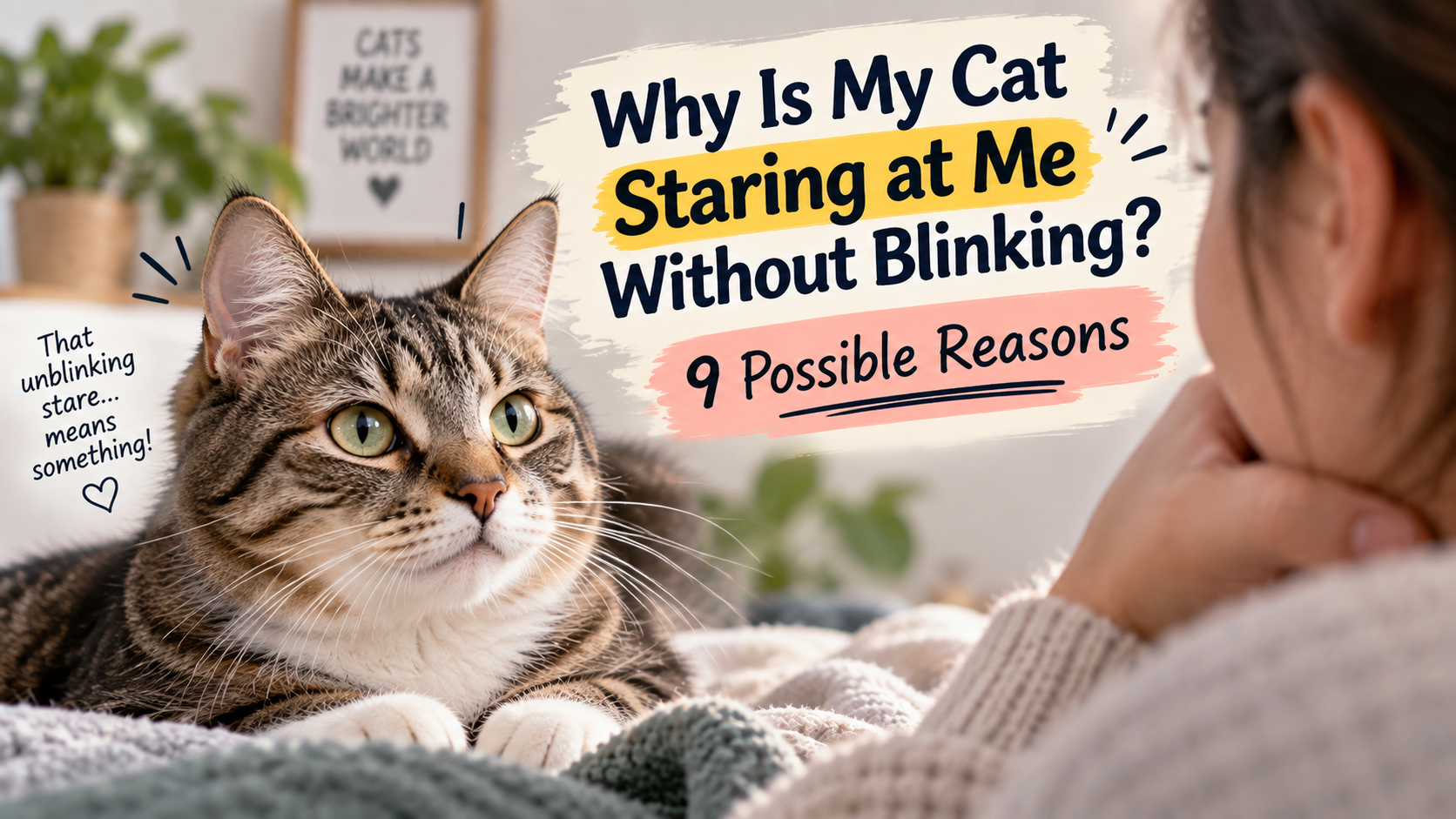 Cat Staring at Me Without Blinking